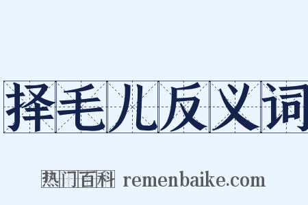 择毛儿反义词是什么意思的图片